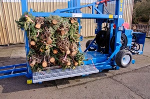 tree-palletizer