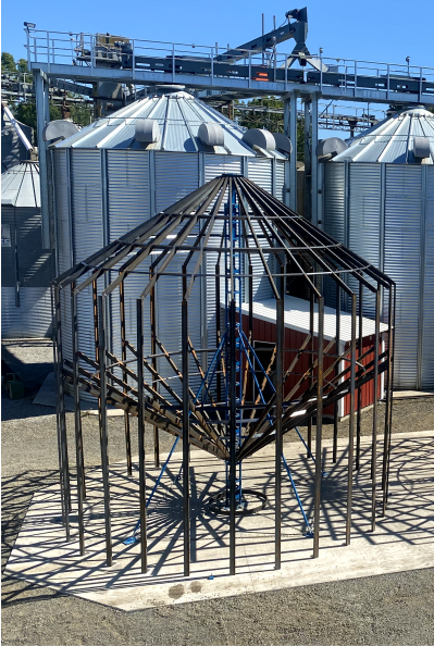 Hazelnut Drying System