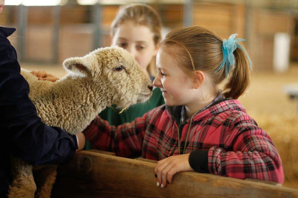 Wurdinger Manufacturing will be at Oregon Ag Fest 2026