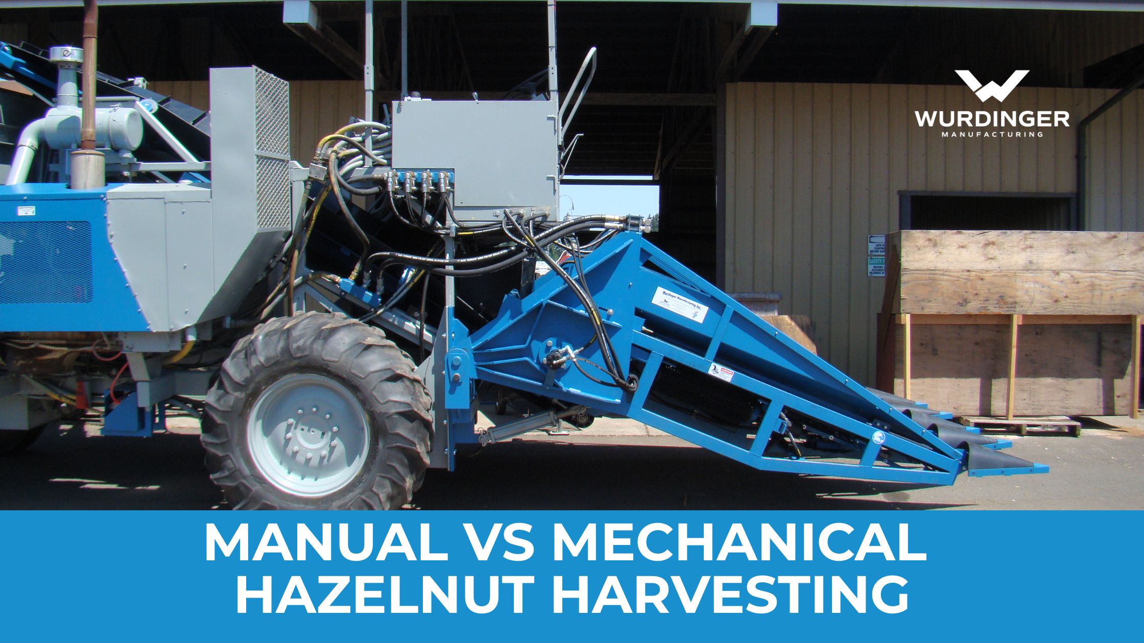 Manual vs Mechanical Hazelnut Harvesting