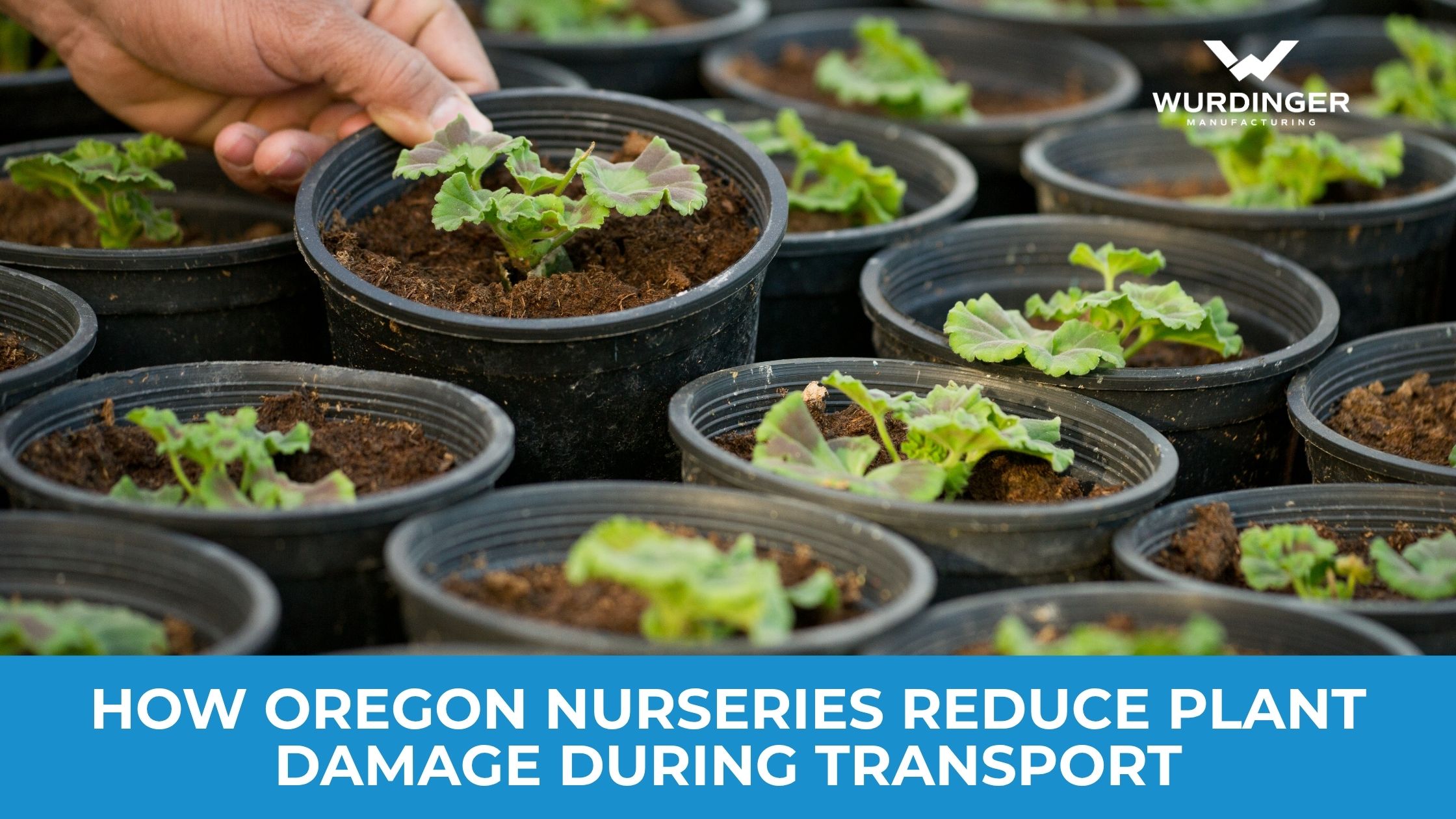 How Oregon Nurseries Reduce Plant Damage During Transport