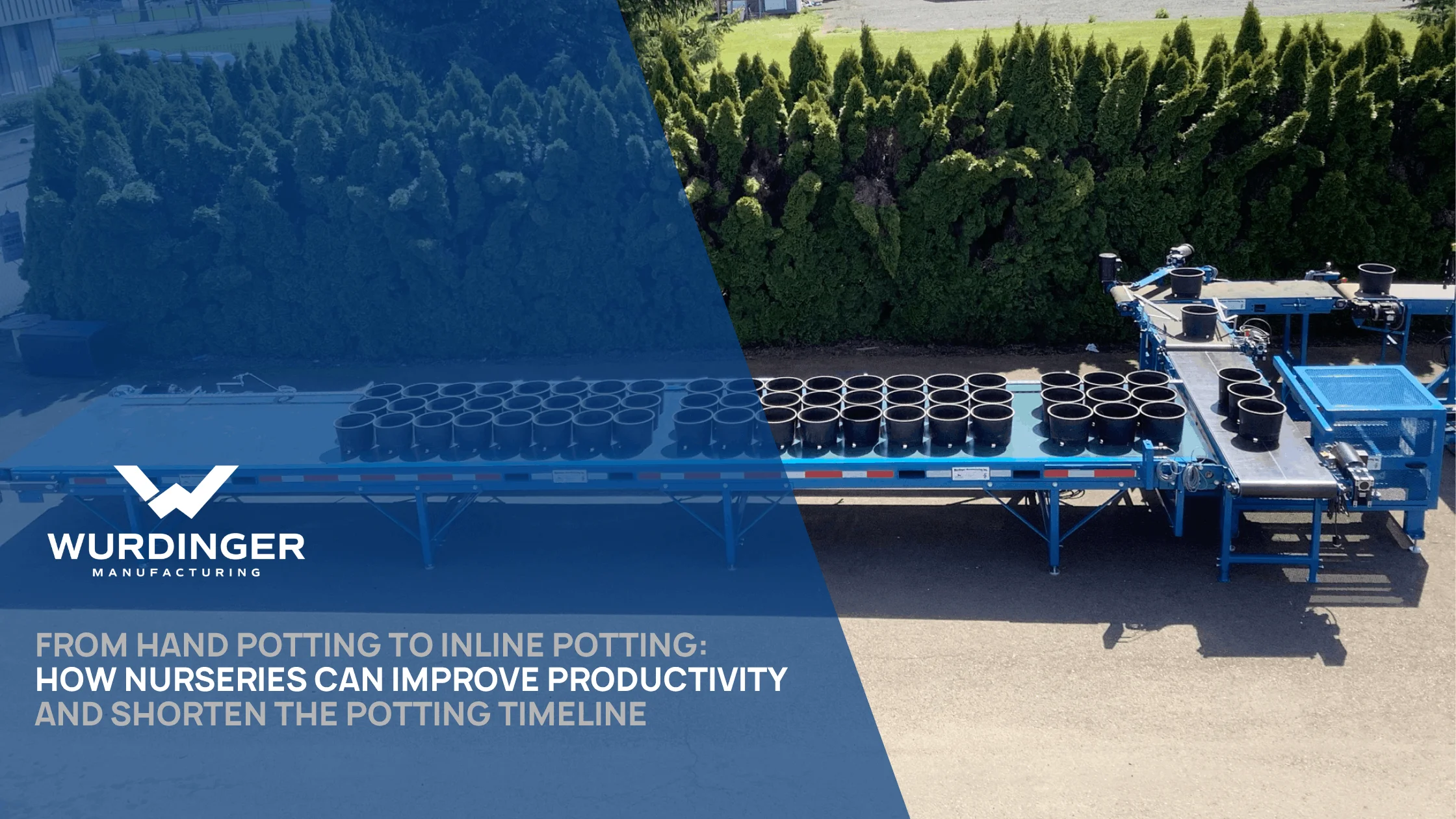 From Hand Potting to Inline Potting: How Nurseries Can Improve Productivity and Shorten the Potting Timeline